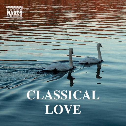 黄色在线视频网站
